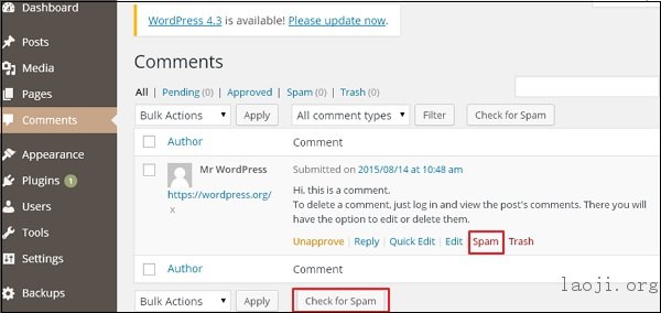 WordPress Spam Protection