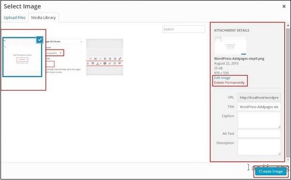 WordPress Background