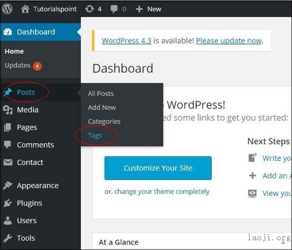 WordPress Delete Tags