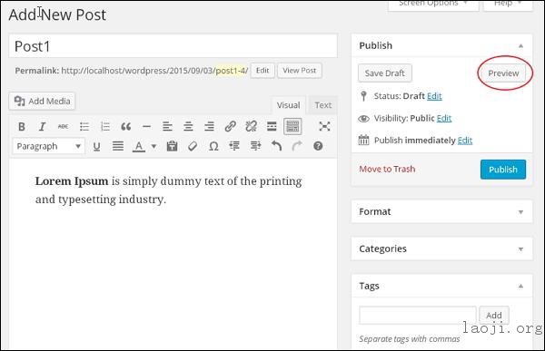 WordPress preview posts